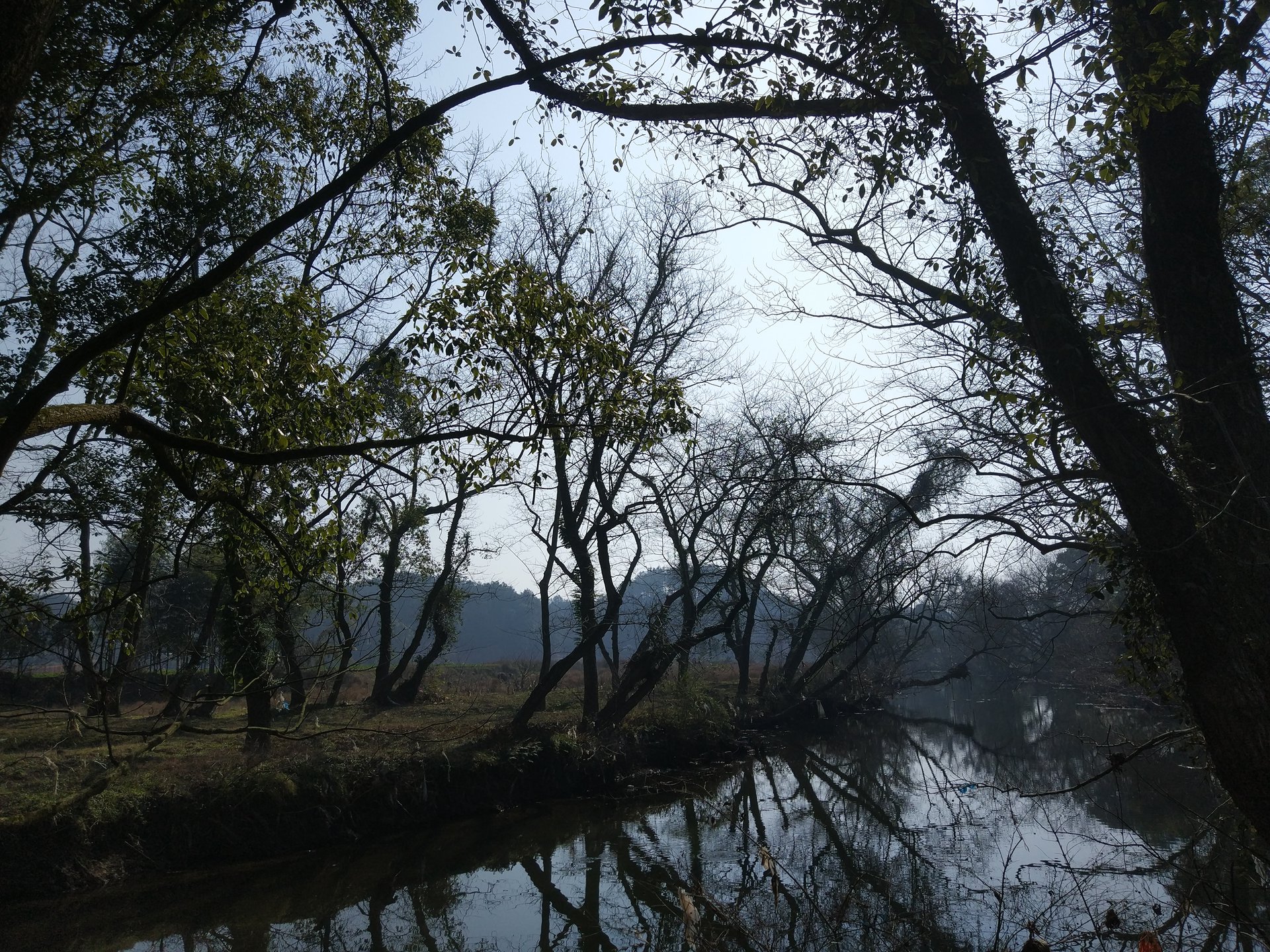 龙头村(龙头村天气预报)