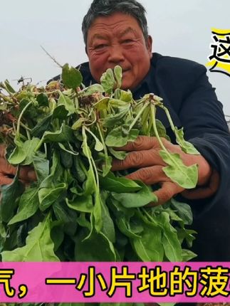 胖吕老爹(胖吕老爹2025年的视频)